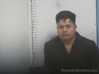 Recent Mugshot Image for LUIS O HERNANDEZ-BAUTISTA in Putnam County, Tennessee