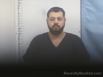 Recent Mugshot Image for MENA N HANNA in Putnam County, Tennessee