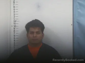 Recent Mugshot Image for WILMER E HERNANDEZ- BAUTISTA in Putnam County, Tennessee