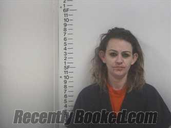 Recent Mugshot Image for ASHLEY SELLERS in Putnam County, Tennessee