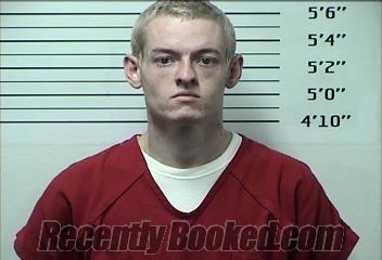 Recent Mugshot Image for PATRICK DANIEL ANDERSON in Rhea County, Tennessee