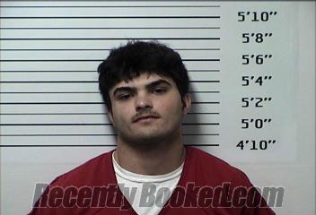Recent Mugshot Image for GARRETT KOLE MICKEL in Rhea County, Tennessee