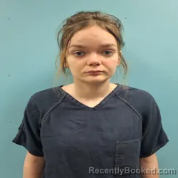 Recent Mugshot Image for AUNNA MARIE WELBORN in Roane County, Tennessee