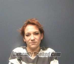 Recent Mugshot Image for ASHLEY NICOLE MCKINNEY in Sevier County, Tennessee