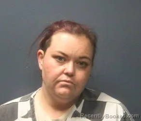 Recent Mugshot Image for MARY NICOLE MATTHEWS in Sevier County, Tennessee