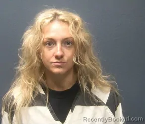 Recent Mugshot Image for CHLOE BRIANNEE HAYES in Sevier County, Tennessee