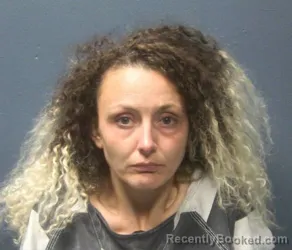 Recent Mugshot Image for SOPHIE RAE HEART in Sevier County, Tennessee