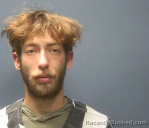 Recent Mugshot Image for NICHOLAS PENNINGTON in Sevier County, Tennessee