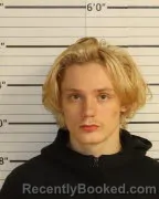 Recent Mugshot Image for ALEXANDER WALKER in Shelby County, Tennessee