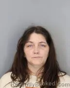 Recent Mugshot Image for CHRISTINA ANN PIPKIN in Shelby County, Tennessee