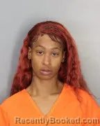 Recent Mugshot Image for BRIANNA ROSSER in Shelby County, Tennessee