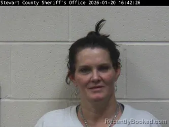 Recent Mugshot Image for SHERYL L SMITH in Stewart County, Tennessee