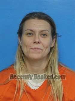 Recent Mugshot Image for BRITTANY TIA MARIE CRADIC in Sullivan County, Tennessee