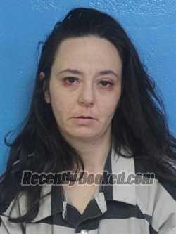 Recent Mugshot Image for ALEXANDRIA JANICE RENEE STEELE in Sullivan County, Tennessee