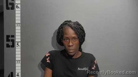 Recent Mugshot Image for ANTIONETTE LOUVENIA SMITH in Suffolk County, Virginia