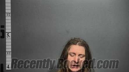 Recent Mugshot Image for KATHERINE MARIE WILCOX in Suffolk County, Virginia