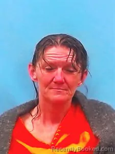 Recent Mugshot Image for Crystal Hilton in Yell County, Arkansas