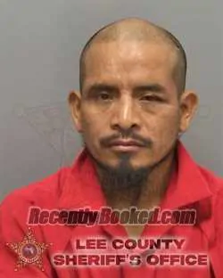 Recent Mugshot Image for ROCAEL MORALES DOMINGO in Lee County, Florida