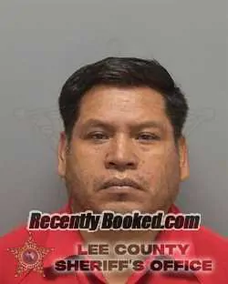 Recent Mugshot Image for GENARO TZOC PAR in Lee County, Florida