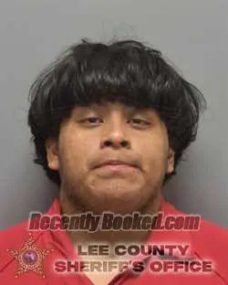 Recent Mugshot Image for MARTIN MIGUEL ANDRES in Lee County, Florida