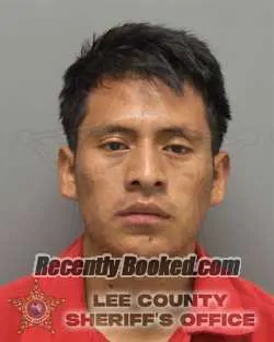 Recent Mugshot Image for JUAN BORCEL SAJBIN in Lee County, Florida