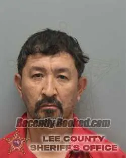 Recent Mugshot Image for RUVILIO ERMENEGILDO VILLATORO LOPEZ in Lee County, Florida