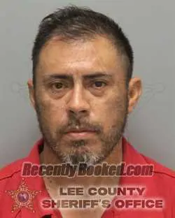 Recent Mugshot Image for JAMES DAVID BORREGO in Lee County, Florida