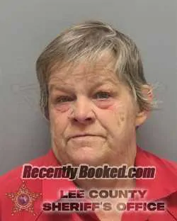 Recent Mugshot Image for TAMMY LYNN MARIE CLEMENTS in Lee County, Florida