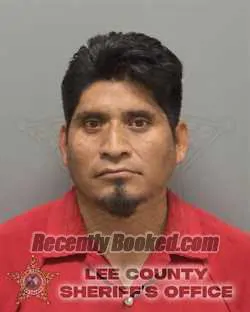 Recent Mugshot Image for SANTOS IGNACIO VASQUEZ TIQUIRAM in Lee County, Florida