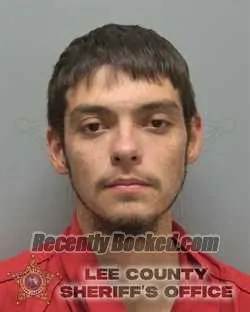 Recent Mugshot Image for LUIS ARMONDO AYALA in Lee County, Florida