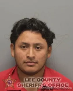 Recent Mugshot Image for HENRI OBIDIO SEB-SARAT in Lee County, Florida