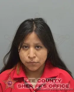 Recent Mugshot Image for JUANA FERNANDEZ LOPEZ AJANEL in Lee County, Florida