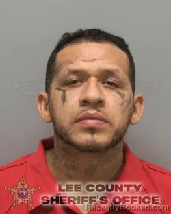 Recent Mugshot Image for JORGE ADRAIN PALOMINO in Lee County, Florida