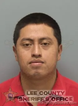 Recent Mugshot Image for SELVIN ANIBAL RAYMUNDO BOTZOC in Lee County, Florida