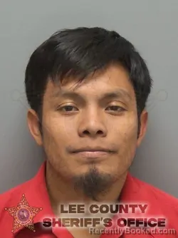Recent Mugshot Image for JUAN MEJIA TUM in Lee County, Florida