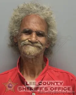 Recent Mugshot Image for ABDIEL ENRY POLO in Lee County, Florida