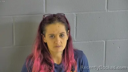 Recent Mugshot Image for AMBER LYNN LENOS in Levy County, Florida
