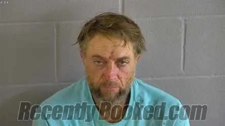 Recent Mugshot Image for TRAVIS AARON RAINS in Levy County, Florida