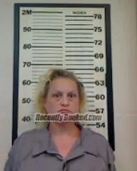 Recent Mugshot Image for CHELERY ANN WILSON in Madison County, Florida