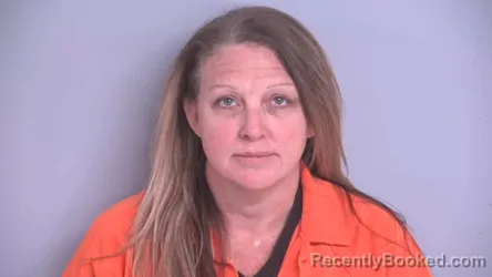 Recent Mugshot Image for ERICA DAWN ROMAN in Bradford County, Florida