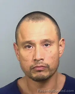 Recent Mugshot Image for JESSE JAMES LEE HARRINGTON in Manatee County, Florida