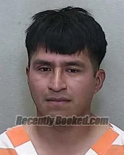 Recent Mugshot Image for CUTBERTO ANTONIO MENDOZA in Marion County, Florida