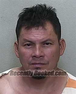Recent Mugshot Image for ALEJANDRO AMAYA ORELLANA in Marion County, Florida