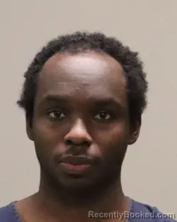 Recent Mugshot Image for ROBERT LEVON THOMPSON in Martin County, Florida