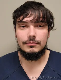 Recent Mugshot Image for ADRIAN ALEXANDER STANESCU in Martin County, Florida