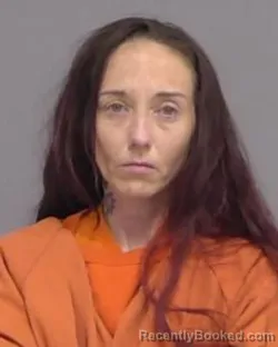 Recent Mugshot Image for STORMY GAYLE WHITE in Nassau County, Florida