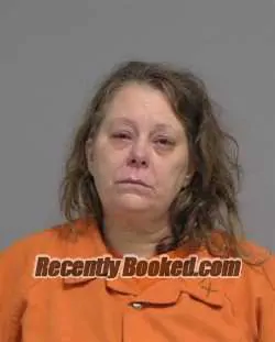Recent Mugshot Image for DEBRA ANGELA KINNEY in Nassau County, Florida