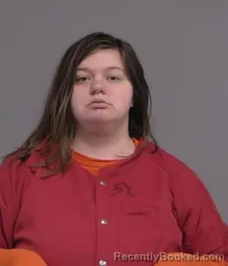 Recent Mugshot Image for STARR JOYA FAVELA in Nassau County, Florida