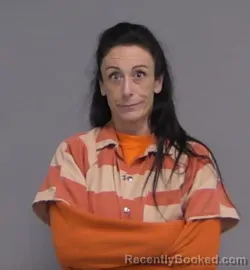 Recent Mugshot Image for DAWN DAVIS SWEATT in Nassau County, Florida