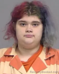 Recent Mugshot Image for DEMI TAYLOR HUDSON in Nassau County, Florida